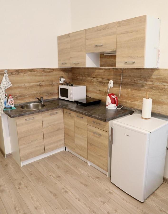 Lana Lo Apartments カルロヴィ・ヴァリ エクステリア 写真